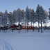 forest hotel - une laponie authentique
