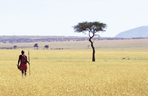 le kenya, version robinson... exclusif !