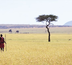 le kenya, version robinson... exclusif !