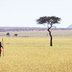le kenya, version robinson... exclusif !