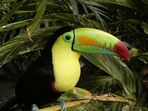 guatemala & costa rica - un combiné nature et culture
