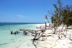 cayo levisa : la robinsonnade cubaine !