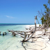 cayo levisa : la robinsonnade cubaine !