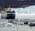 baie de disko et ummannaq - l'arctique en goélette