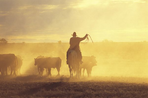 out of australia, un voyage d'exception