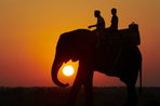 il était une fois l'afrique du sud