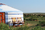 immersion nomade en camps de charme