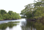belize: aux confins de la jungle