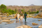 malawi - le lac des grands fauves
