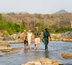 malawi - le lac des grands fauves