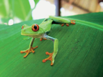 costa rica, road trip au pays de l'or vert