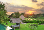 villa artis - ma villa dans les rizières à bali