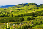 des vignobles aux alpages  - voyage chic en forêt noire