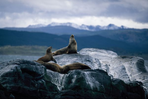 pura patagonia