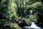 rêve de nature, bivouacs et aventures