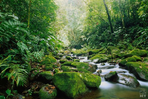 costa rica, eden à prix vert...