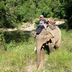 un éléphant, ça trompe... la thailande avec vos enfants