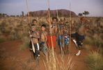 voyage en famille - dingo de l'australie