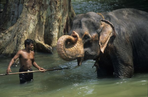 le sri lanka en famille !