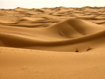oasis, dunes et kasbahs - le désert en famille !