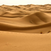 oasis, dunes et kasbahs - le désert en famille !