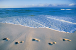 pélicans et sables blancs : la floride en famille