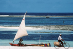séjour au kenya, côté plage !