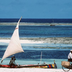 séjour au kenya, côté plage !