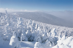 bois rond et flocons