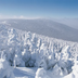 bois rond et flocons