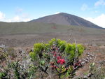 volcan île de la réunion