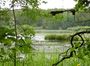 Sélection d'adresses d'ecotourisme dans La Marne