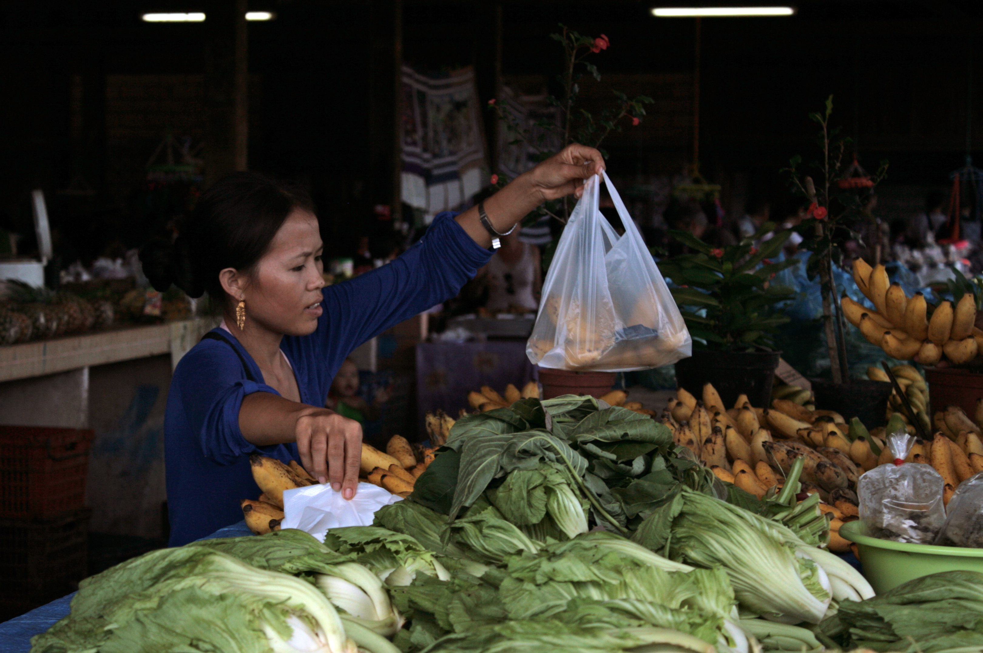 rencontre femme hmong