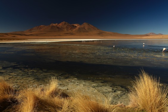 Crossing South Lipez, BOLIVIA © Viventura