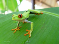Costa Rica découverte