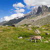hi-han au mont-blanc