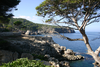cites de la cote lycienne-liberte