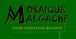 Mosaique  Malgache - Ecotourisme à madagascar 