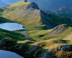 Patrimoine naturel et biodiversité dans les Hautes Alpes