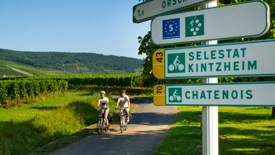 l'Alsace à Vélo -  copyright : ADT 67 - Infra / Alsace à vélo 