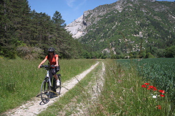 Drome