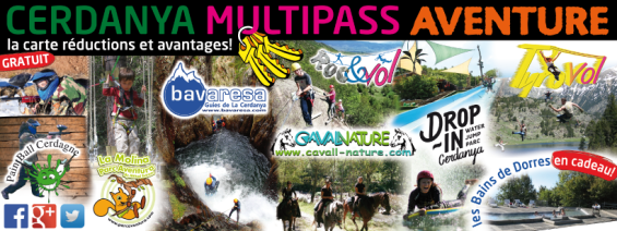 MultiPass