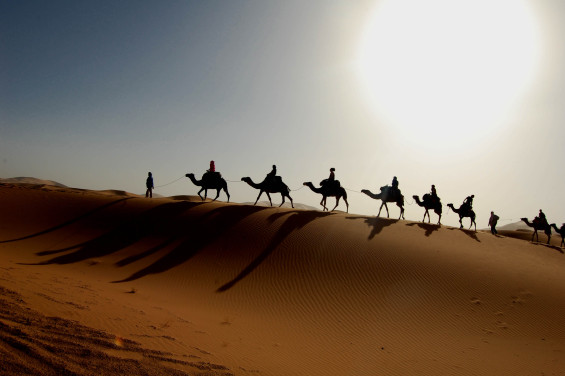 Maroc_Sahara_caravane