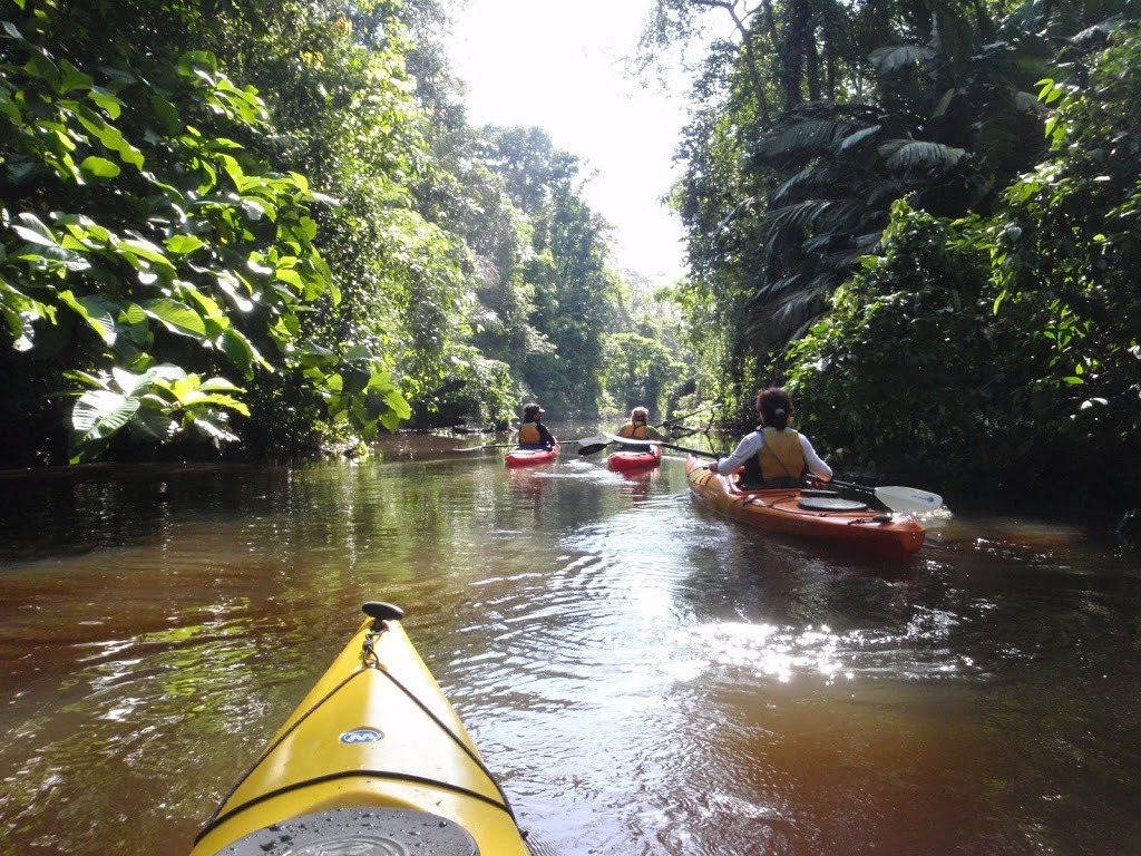 Kayak tortuguero sous le soleil au Costa Rica