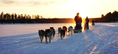 Article : La Laponie finlandaise au-delà du père noël et des foules voyageuses