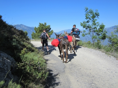 Les âniers, partenaires privilégiés du Grand Site massif du Canigo