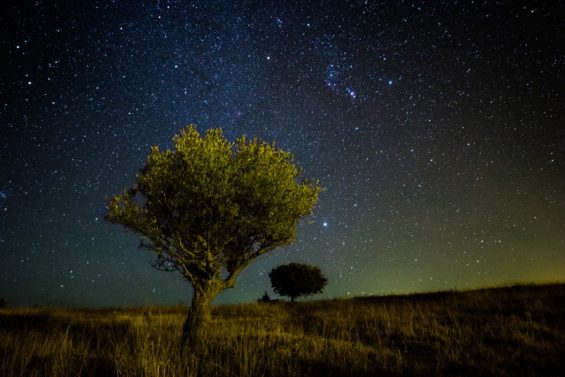 Portugal - Des ricochets entre les étoiles ©Griters