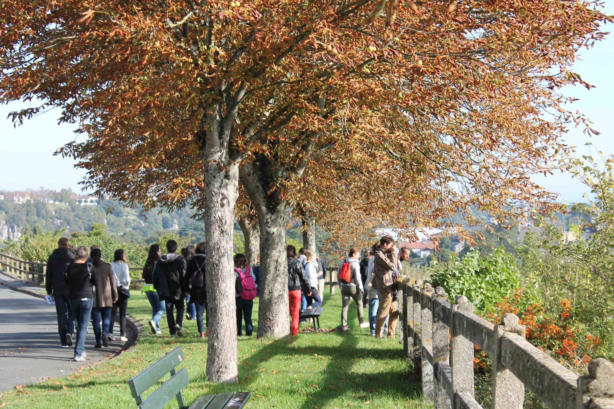 Les Plus Belles Balades Autour De Poitiers