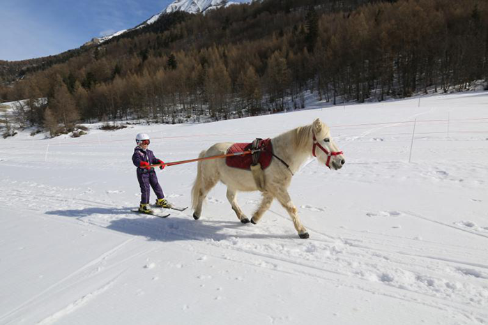 Une petite fille pratique le ski joëring dans les Alpes