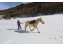 Ces stations de ski qui s’engagent dans les Alpes du Sud